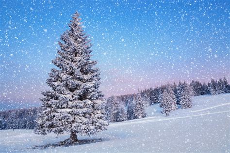 Snow Is Falling
