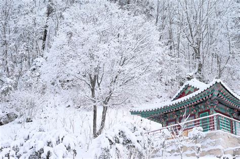 snow season in korea