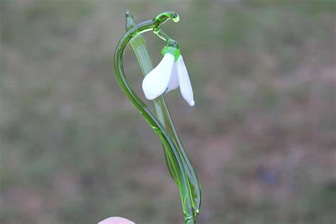 snowdrop wish nude index