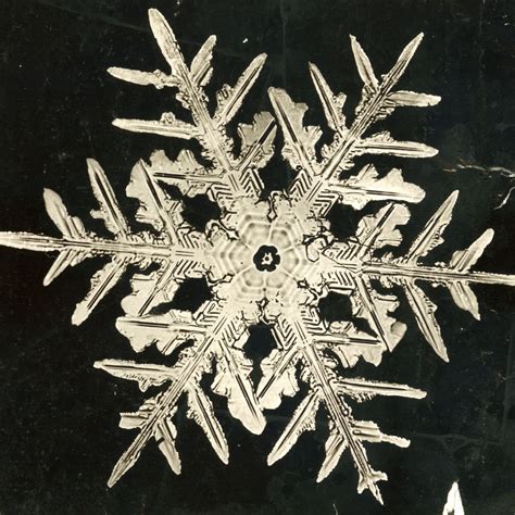 Snowflake Bentley