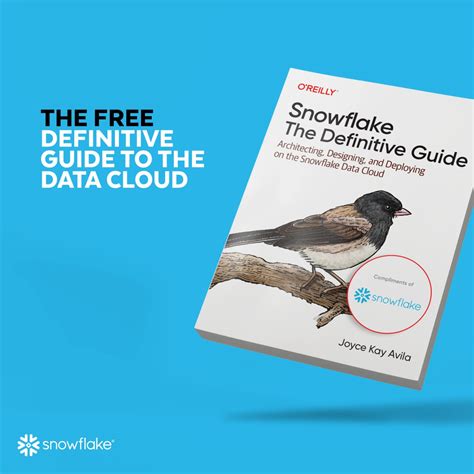 Snowflake The Definitive Guide