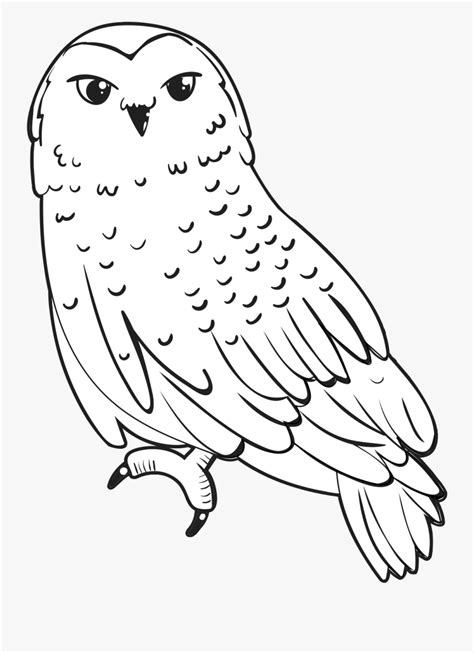 Snowy Owl Coloring Page Snowy Owl Coloring Page - Snowy Owl Coloring Page