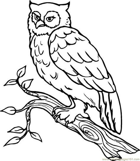 Snowy Owl Coloring Pages Greatestcoloringbook Com Snowy Owl Coloring Page - Snowy Owl Coloring Page