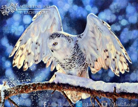 Snowy Owl In Colored Pencil Lachri Fine Art Snowy Owl Coloring Page - Snowy Owl Coloring Page