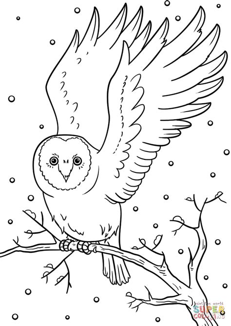Snowy Owl Winter Coloring Page Free Printable Coloring Snowy Owl Coloring Pages - Snowy Owl Coloring Pages