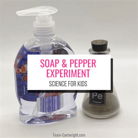 Soap And Pepper Experiment Easy Soap Science Experiment Soap Science Experiment - Soap Science Experiment