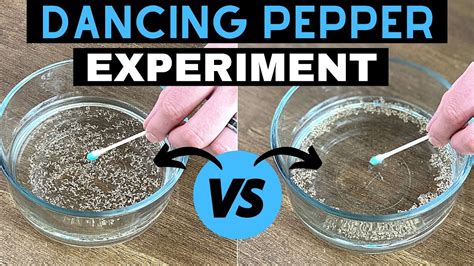 Soap Science Experiment   Dancing Pepper And Soap Experiment Playing With Rain - Soap Science Experiment