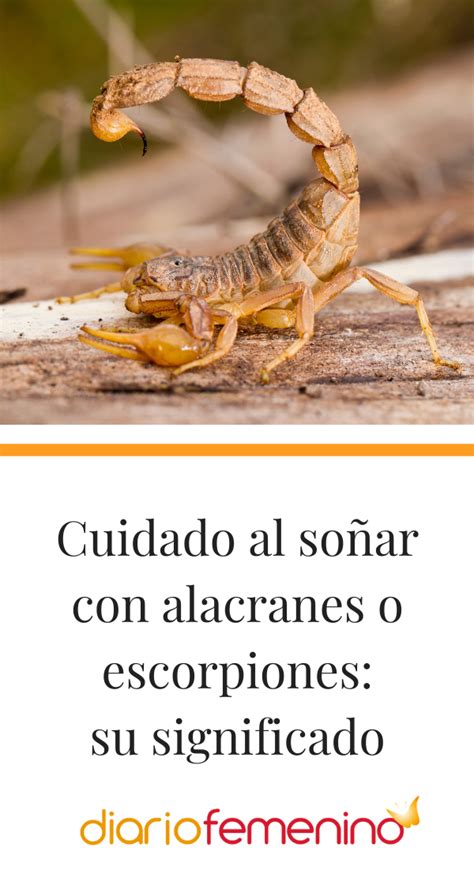 Soñar Con Alacranes