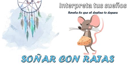 Soñar Con Ratas