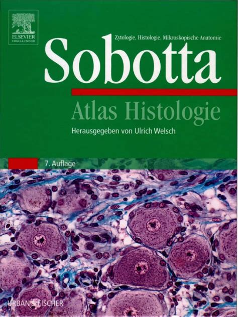 sobotta atlas histologii pdf
