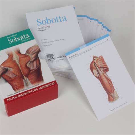 sobotta flashcards muscles muscles