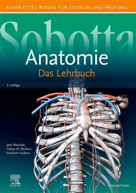 sobotta lehrbuch anatomie