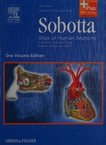 Read Online Sobotta Atlas Of Human Anatomy 23Rd Edition 