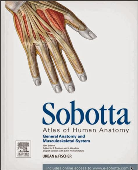 Read Online Sobotta Atlas Of Human Anatomy Volume 1 15Th Edition Pdf 