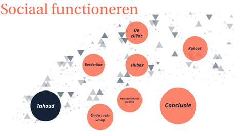 sociaal functioneren uitleg