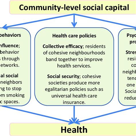 Social Capital And Health A Systematic Review Of Social Capital Worksheet - Social Capital Worksheet