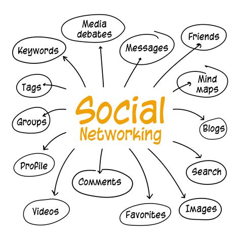 social network bjs