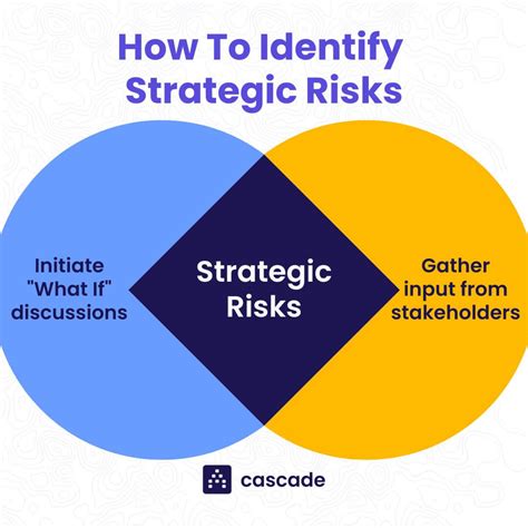 Read Online Social Risk As Strategic Risk 