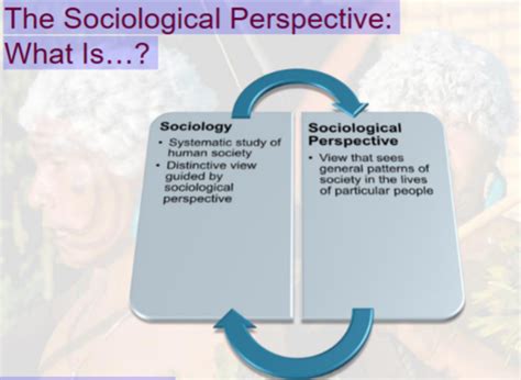 society and social interaction quiz sociology Flashcards Quizlet