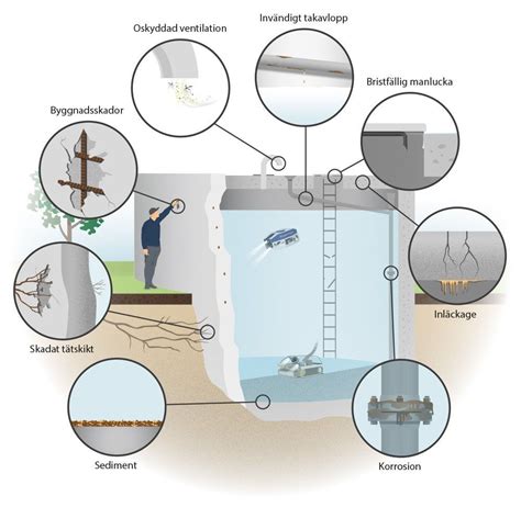socker  inom  dricksvatten  samt is