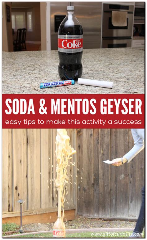 Soda And Mentos Geyser Activity Gift Of Curiosity Mentos In Soda Science Experiment - Mentos In Soda Science Experiment