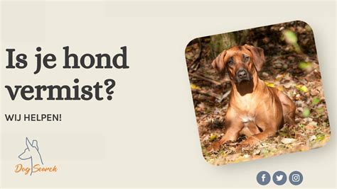 soepoog hond