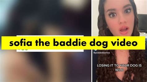 Sofia the baddie dog video leaked
