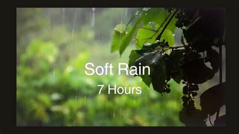Soft Rain Sounds