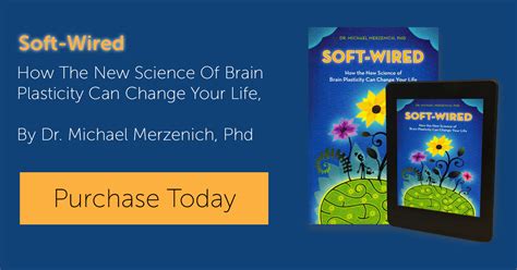 Soft Wired How The New Science Of Brain Plasticity Can Change Your Life