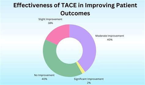 Download Softspots Tace User Guide 