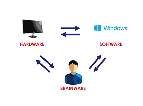 Software Hardware Brainware