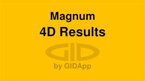 software magnum 4d