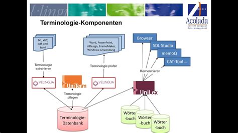 software terminologie