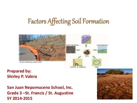 soil formation factors DriverLayer Search Engine