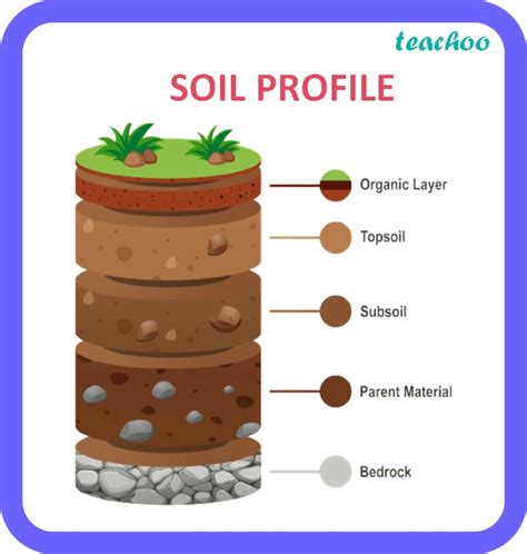 Soil Geography