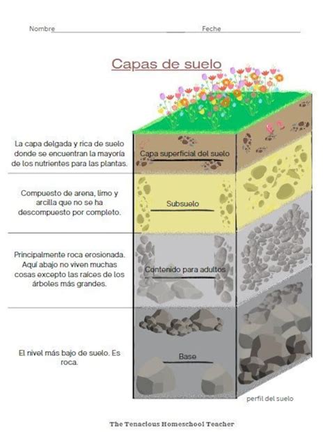 Soil In Spanish