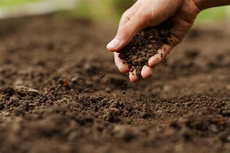 soil texture rutgers
