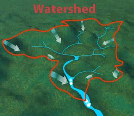 Sol 6 7 Watersheds Wetlands And Estuaries Flashcards 1968 A Watershed Worksheet Answers - 1968 A Watershed Worksheet Answers