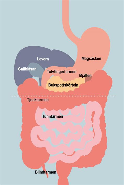 solsting ont i magen
