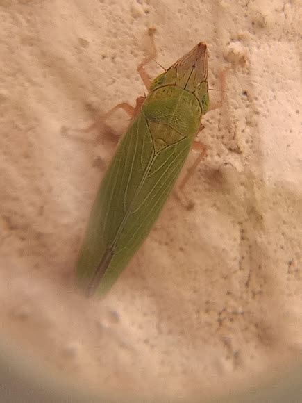 nature photo by Alayna Hyatt