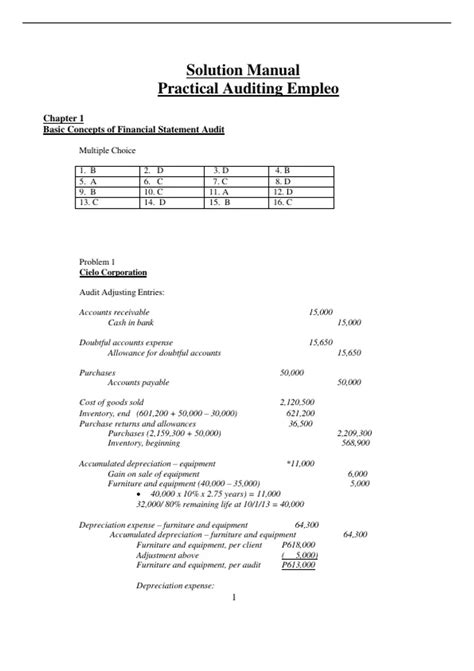 Solutionpractical Auditing By Empleo