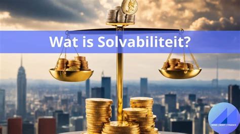 solvabiliteit analyseren