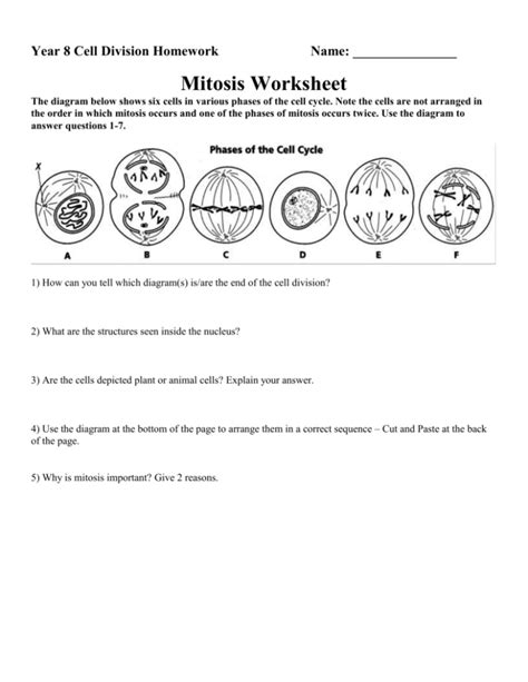 Solved Cell Division I Worksheet Mitosis Demonstration You Cell Division Mitosis Worksheet Answers - Cell Division Mitosis Worksheet Answers