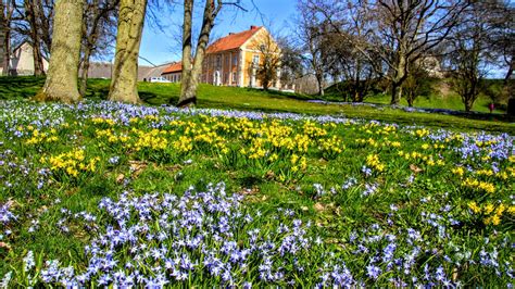 solvesborg slottsudden