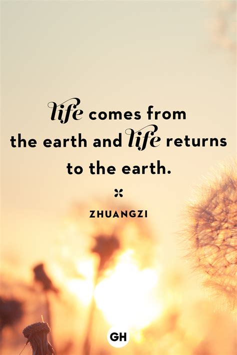Some Lines About Life