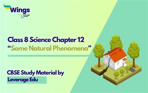 Some Natural Phenomena Class 8