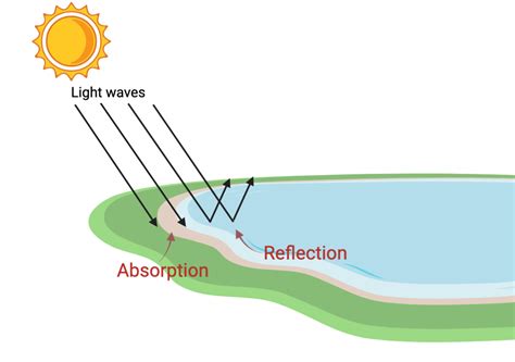 Something Like Rod Of Absorption 5e