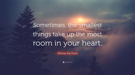 Sometimes The Smallest Things Take Up Author