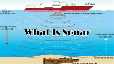 Sonar Meaning Technique Applications Collegedunia Sonar Science - Sonar Science