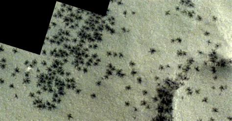 Sonda Detecta Aranhas